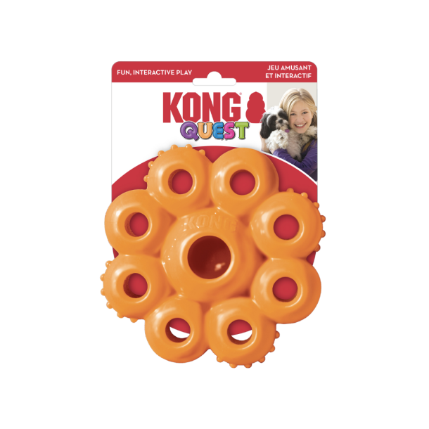 Kong Quest Star Small