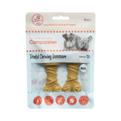 Companion Dental Chewing Icecream