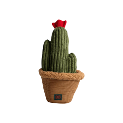 B&B Pawtanic Garden Kaktus