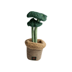 B&B Pawtanic Garden Plante