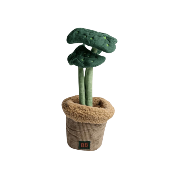 B&B Pawtanic Garden Plante