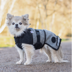 Canelana Aurora hundedkken uld