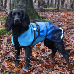 Canelana Aurora hundedkken uld