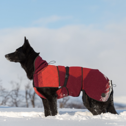 Canelana Aurora hundedkken uld