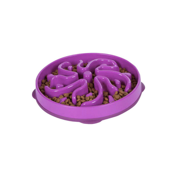 Outward Hound Fun Feeder Slow-Bowl