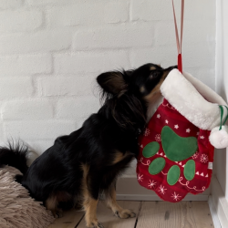 Kong Holiday Stocking Paw L