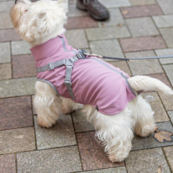 Trixie Pontis Regn Hundedkken Pink