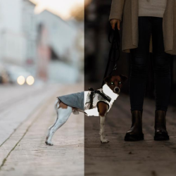 Trixie Pontis Reflect Hundedkken Gr