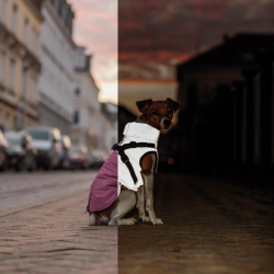 Trixie Pontis Reflect Hundedkken Pink