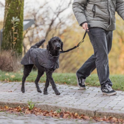 Trixie Limoux Reflect Hundejakke