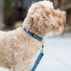 Dog Copenhagen Urban Style Halsbnd