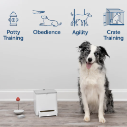 PetSafe Teach &amp; Treat Remote Reward Trainer