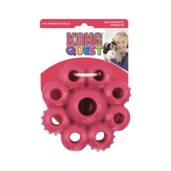 Kong Quest Star Small