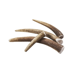 Tikki Gevir Tyggeben