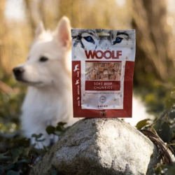 Woolf Godbidder Chunkies Oksekd 100g.