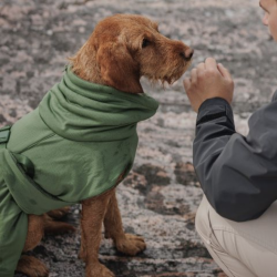 Paikka 2Go Trredragt Olive