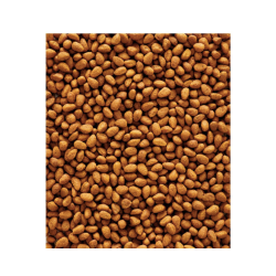 NutriBird P15 Original Papegjefoder 3 kg.