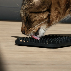 D&D Slikkemtte Kat Sort