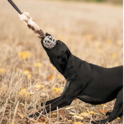 Ozami Pels Trkketorv m. bold