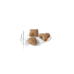 Royal Canin Sensible 33