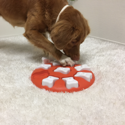 Nina Ottosson Aktivitetslegetj Smart Rd L 28,5 cm.