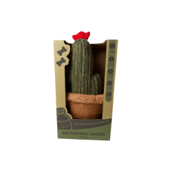 B&B Pawtanic Garden Kaktus