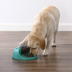 Nina Ottosson Dog Spin N Eat