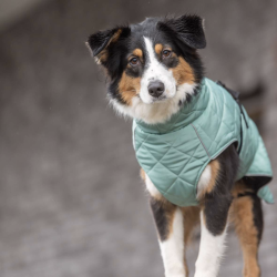 Trixie CityStyle Oslo hundejakke