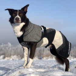 Canelana Aurora hundedkken uld