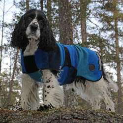 Canelana Aurora hundedkken uld