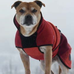 Canelana Aurora hundedkken uld