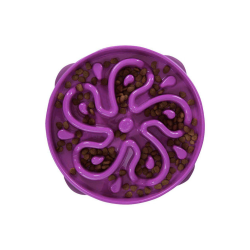 Outward Hound Fun Feeder Slow-Bowl