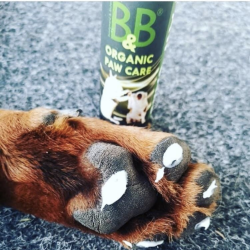 B&B kologisk Potepleje