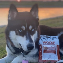 Woolf Godbidder Chunkies Oksekd 100g.