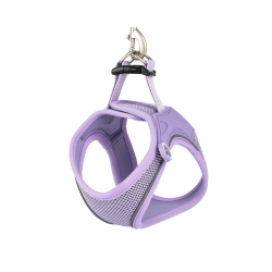 Max &amp; Molly Matrix 2.0 Neopren Air Sele