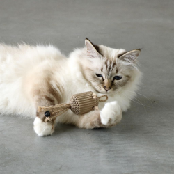 D&D Kattelegetj PAHVI 3 stk.