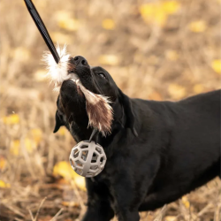 Ozami Pels Trkketorv m. bold