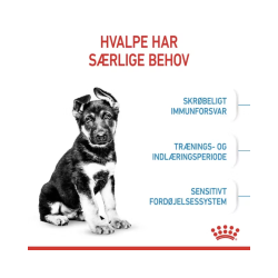  Royal Canin Maxi Puppy