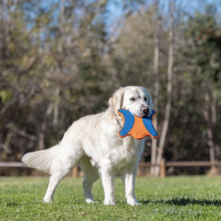 Chuckit Ultra Flyvende Egern 