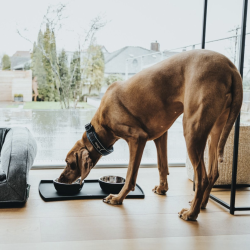 Hunter Selection Underlag Silicone