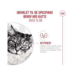 Royal Canin Ageing 15+