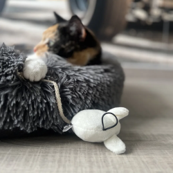 D&D Kattelegetj MOOSY 2 stk.