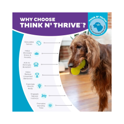 Nina Ottosson Double Tuff