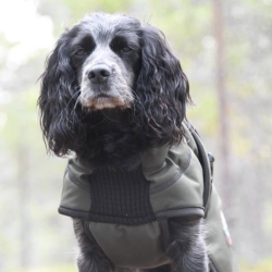 Canelana Thermo Hundedkken