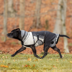 Canelana Aurora hundedkken uld