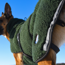 Canelana Selva hundedkken uld Grn