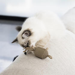 D&D Kattelegetj PAHVI 3 stk.