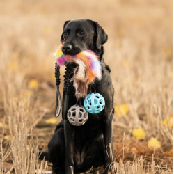 Ozami Pels Trkketorv m. bold