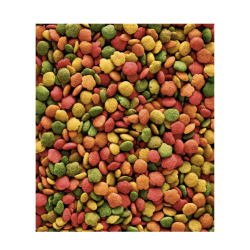 NutriBird P15 Tropical Papegjefoder 3 kg.