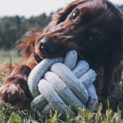 D&D Home Skip Ball Beige